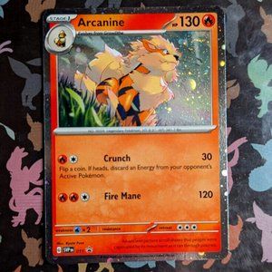 Arcanine holo